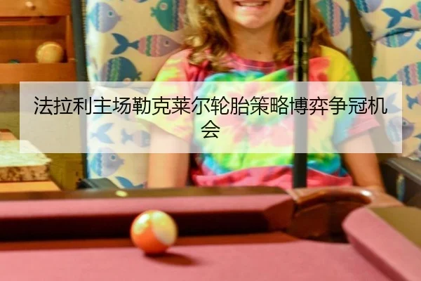 fa-la-li-zhu-chang-lei-ke-lai-er-lun-tai-ce-lve-bo-yi-zheng-guan-ji-hui-3-597.jpg