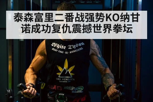 泰森富里二番战强势KO纳甘诺成功复仇震撼世界拳坛